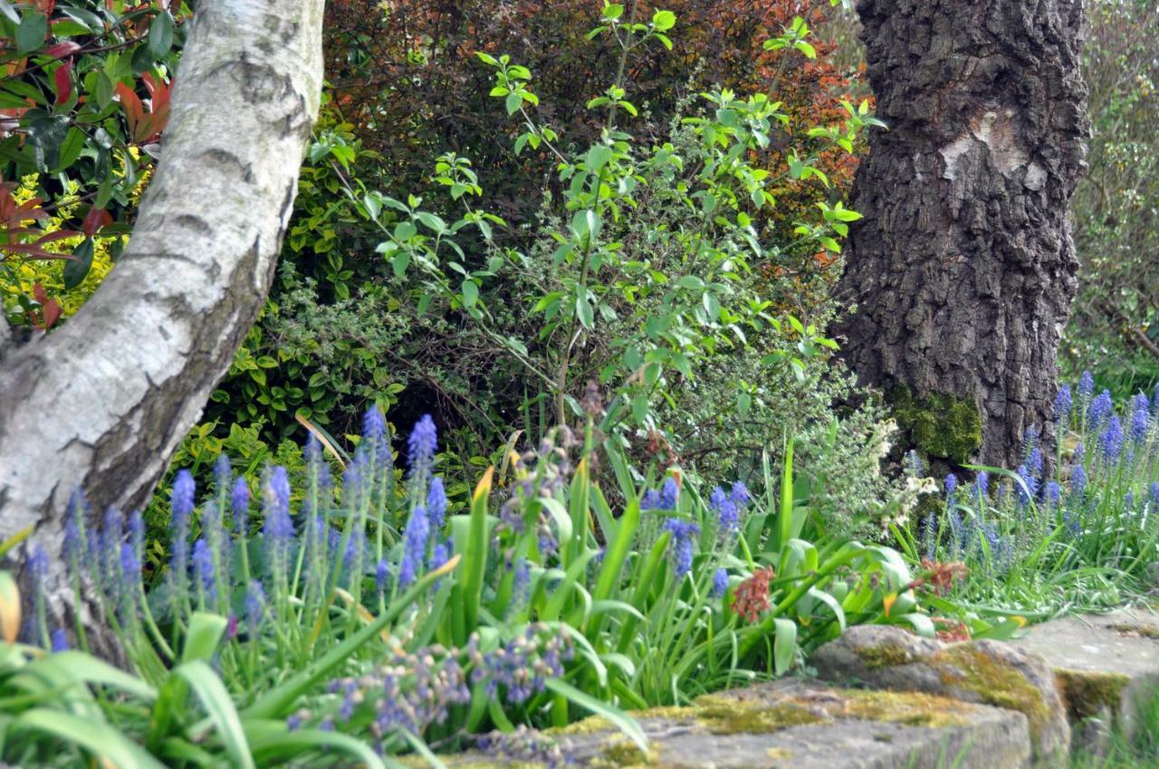 Bridleways Guesthouse & Holiday Homes Mansfield Exteriér fotografie